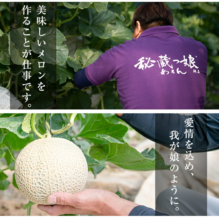 【ふるさと納税】【内容量&組み合わせが選べる】極上！鹿児島県志布志産高級メロン『秘蔵っ娘』(1玉1.4kg以上)国産の安心安全、美味しい高級フルーツのマスクメロン2種食べ比べ メロン マスクメロン 果物 フルーツ くだもの 青肉 赤肉【ファームランド牧】 サムネイル3