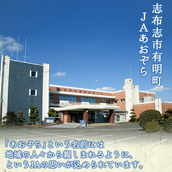 【ふるさと納税】【日本農業新聞 一村逸品大賞受賞】熟し芋 (計800g/80g×10袋) 干し芋 ほしいも 干しいも お菓子 おやつ さつまいも さつま芋 紅はるか 国産 九州産 鹿児島県産 小分け スイーツ ランキング 人気 常温 常温保存 【JAあおぞら】a7-024 サムネイル2