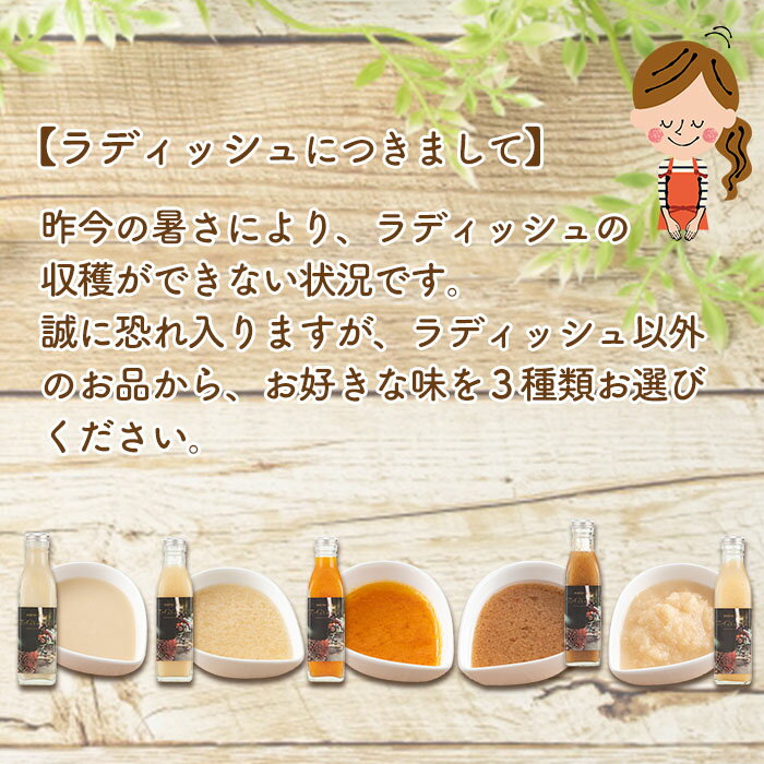 【ふるさと納税】選べる！手作り野菜サラダドレッシング(215ml×3本) 子どもに野菜をたくさん食べてほしいという想いから生まれた志布志のカフェの人気ドレッシング♪着色料・保存料不使用で安心安全！ニンジン・玉ねぎなど6種から好みで【DRAGON BASE OFFICE】a2-111 サムネイル2