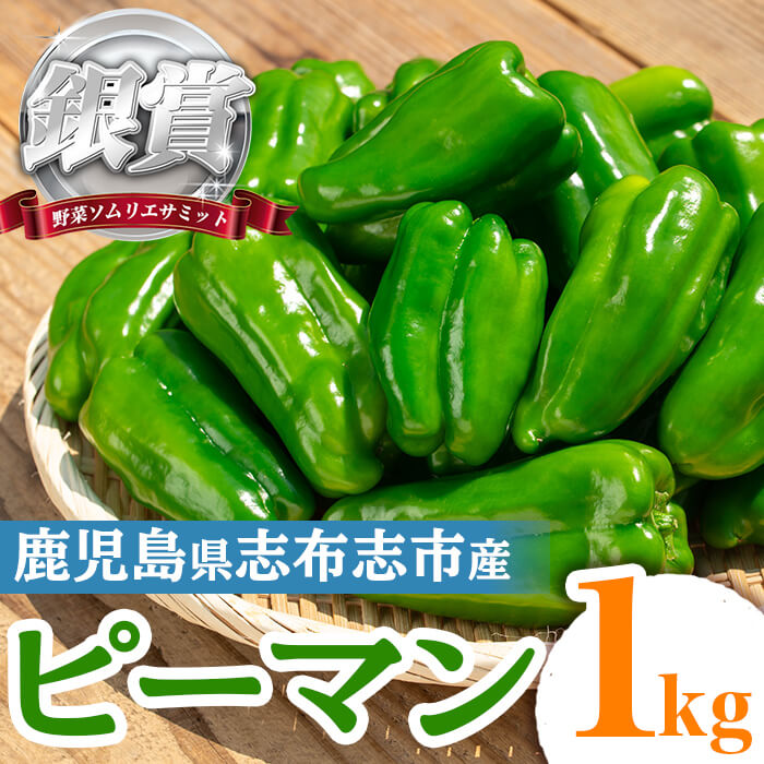 志布志産ピーマン(1kg) ピーマン 野菜 やさい ぴーまん 新鮮 常温 常温保存 おかず 詰め合わせ 銀賞 銀賞受賞 野菜ソムリエサミット 【Farmers Villa Ume】p8-149