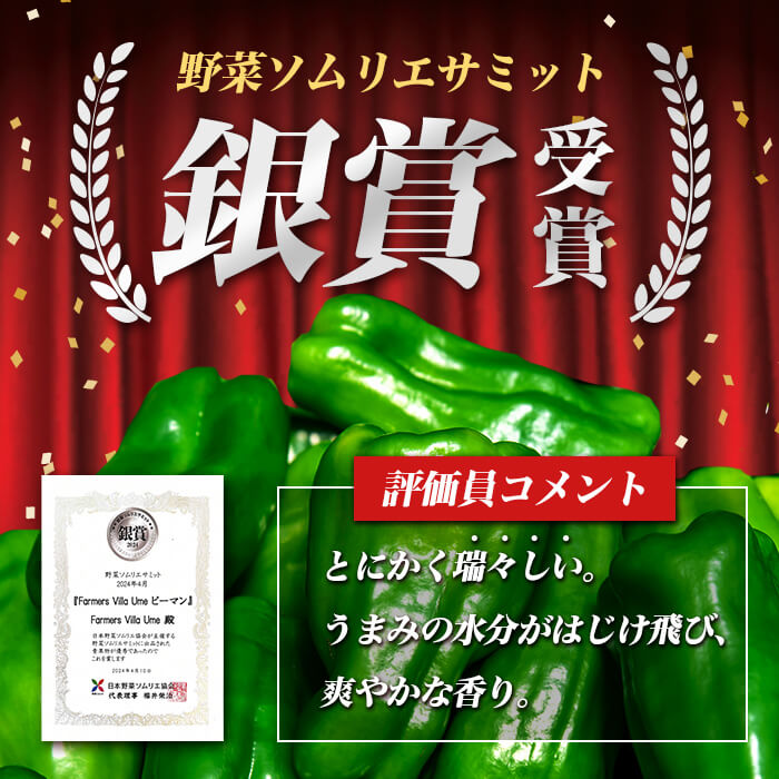 【ふるさと納税】志布志産ピーマン(1kg) ピーマン 野菜 やさい ぴーまん 新鮮 常温 常温保存 おかず 詰め合わせ 銀賞 銀賞受賞 野菜ソムリエサミット 【Farmers Villa Ume】p8-149 - 画像2