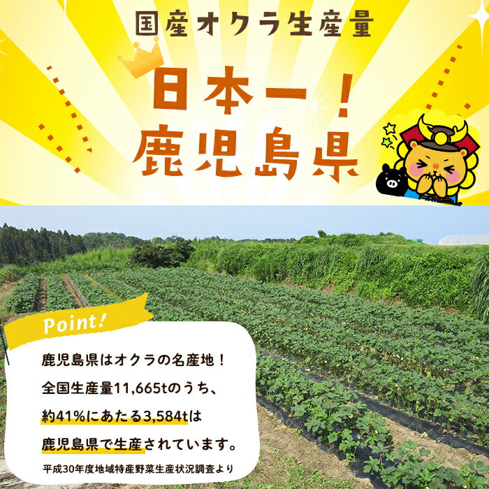 【ふるさと納税】【数量限定】鹿児島県産 冷凍オクラスライス ＜計900g＞(150g×6袋) オクラ 野菜 冷凍 カット カット野菜 国産 簡単 手軽 サラダ 味噌汁 スープ 定期便 【セビア】 - 画像3