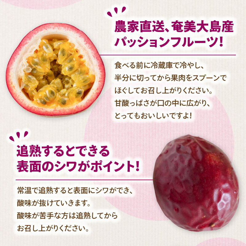 【ふるさと納税】【2026年先行予約】 奄美大島産 パッションフルーツ 約 2kg 果物 フルーツ パッション 農家直送 夏の旬 ビタミン 葉酸 甘酸っぱい 酸味 トロピカル 南国 期間 数量 限定 あいファーム ふるさと納税 鹿児島 奄美市 おすすめ ランキング プレゼント ギフト サムネイル3