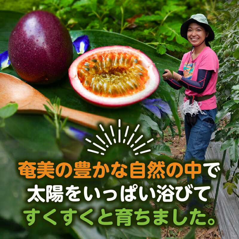 【ふるさと納税】【2026年先行予約】 奄美 パッションフルーツ 1.3kg 家庭用 サイズ混合 13個前後 パッション フルーツ 果物 果実 南国フルーツ 訳あり 訳アリ 先行予約 予約 期間 限定 orietty's farm ふるさと納税 鹿児島 奄美市 おすすめ ランキング プレゼント ギフト サムネイル2