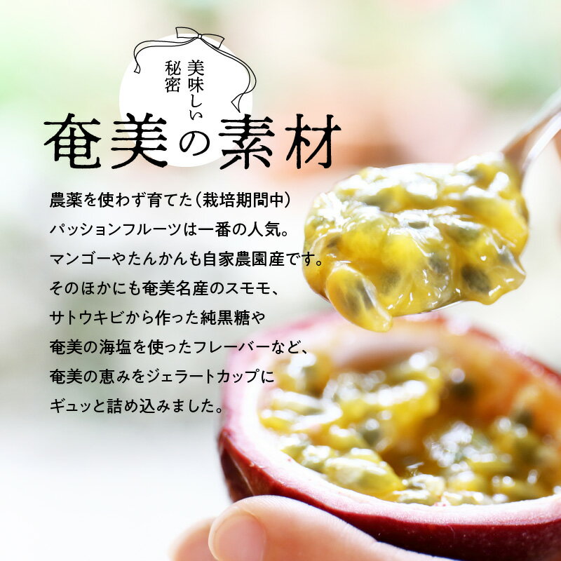 【ふるさと納税】 ジェラート 12個 セット 手作り スイーツ 農園直営 パッションフルーツ マンゴー たんかん 黒糖 旬 - 画像3