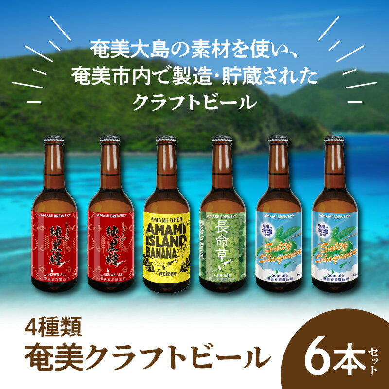 【ふるさと納税】 クラフトビール ブラウンエール ヴァイツェン ペールエール 330ml 4種類 計6本 家飲み ビール 地ビール 瓶ビール 鹿児島 奄美大島 純黒糖 ショウガ 島ばなな 長命草 シークニン ソルティー サムネイル2