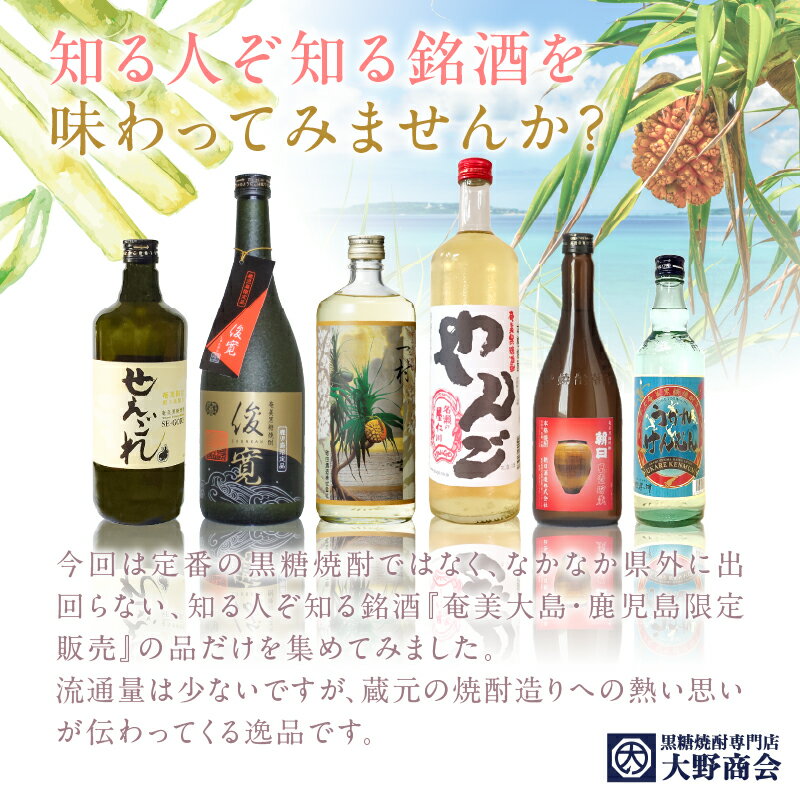 【ふるさと納税】 奄美黒糖焼酎 隠れた銘酒 6本セット 720ml 焼酎 黒糖焼酎 酒 アルコール 黒糖 地酒 蒸留酒 サトウキビ 米麹 一村 やんご 俊寛 朝日 甕壺貯蔵 せえごれ うかれけんむん 限定 鹿児島 大野商会 奄美市 おすすめ ランキング プレゼント ギフト サムネイル3