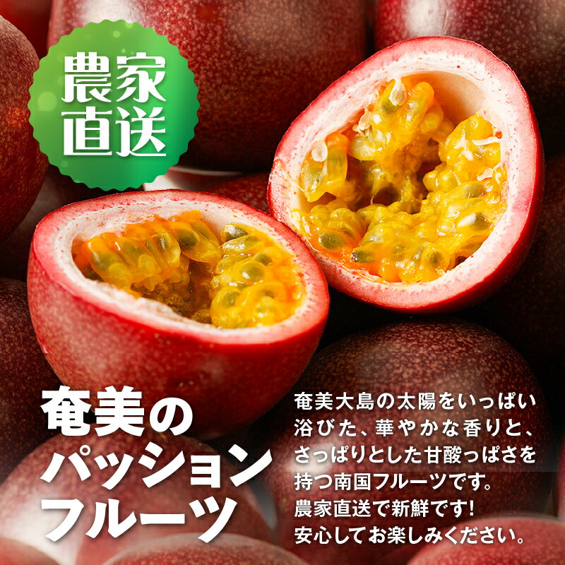 【ふるさと納税】【2026年先行予約】 完熟 パッションフルーツ 2kg 果物 フルーツ パッション トロピカル 南国 旬の味 さっぱり 甘酸っぱい 農家直送 新鮮 農薬不使用 奄美大島 ワイワイファーム 鹿児島 奄美市 おすすめ ランキング プレゼント ギフト サムネイル3