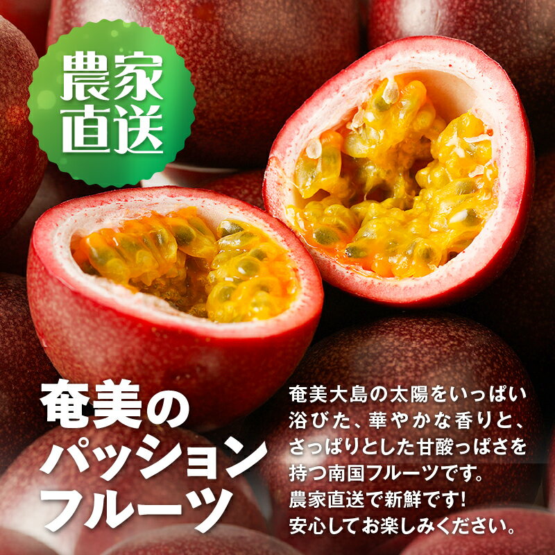 【ふるさと納税】【2026年先行予約】 贈答用 完熟 パッションフルーツ 3kg 果物 フルーツ パッション トロピカル 南国 旬 さっぱり 甘酸っぱい 農家直送 新鮮 農薬不使用 奄美大島 ワイワイファーム 鹿児島 奄美市 おすすめ ランキング プレゼント ギフト サムネイル3