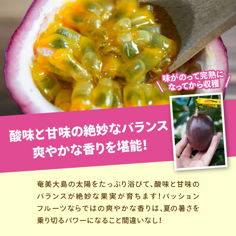 【ふるさと納税】【2026年先行予約】 完熟 南の島 奄美 の パッションフルーツ 2kg 箱 20～22個 サイズ混合 パッション 果物 フルーツ 果実 南国フルーツ 予約 美味しい 鹿児島 甘い 酸味 爽やか Amami sun time farm 鹿児島 奄美市 おすすめ ランキング プレゼント ギフト サムネイル3