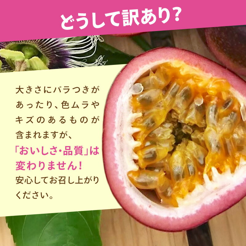 【ふるさと納税】【2026年先行予約】＜選べる＞ 訳あり 完熟 南の島 奄美 の パッションフルーツ 家庭用 1kg or 3kg 傷物 色むらあり サイズ混合 パッション 果物 フルーツ 果実 南国 期間 限定 Amami sun time farm 鹿児島 奄美市 おすすめ ランキング プレゼント ギフト サムネイル3
