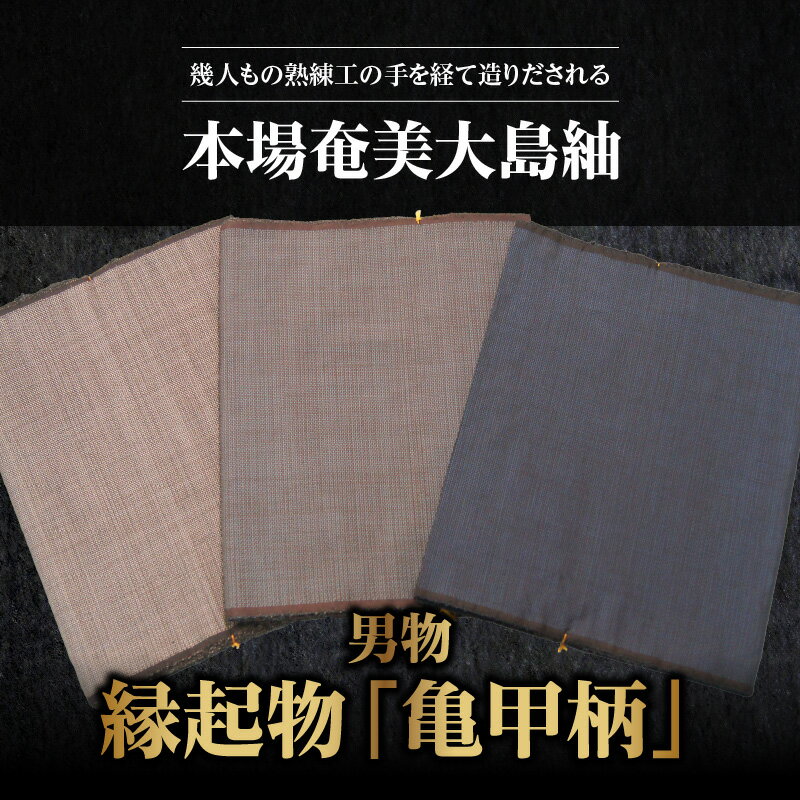 【ふるさと納税】【男物　本場奄美大島紬】 本場奄美大島紬 大島紬 紬 反物 男物 男性 メンズ 亀甲柄 縁起物 高級品 伝統工芸品 着物 和装 手織り 泥染 正絹 絹100％ 未仕立 サムネイル2