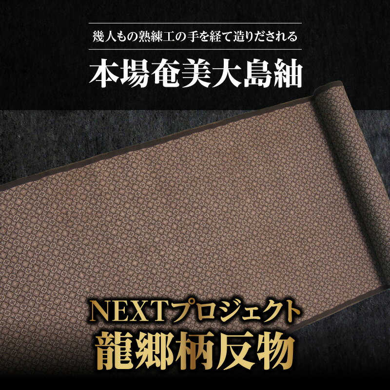 【ふるさと納税】本場奄美大島紬 大島紬 紬 反物 龍郷柄 幅34.8cm × 12.34m 以上 伝統工芸品 着物 和装 和服 和 手織り 泥染 正絹 絹100％ 未仕立 若手職人 一元絣 軽い 暖かい ファッション 鹿児島県 奄美市 送料無料 サムネイル2