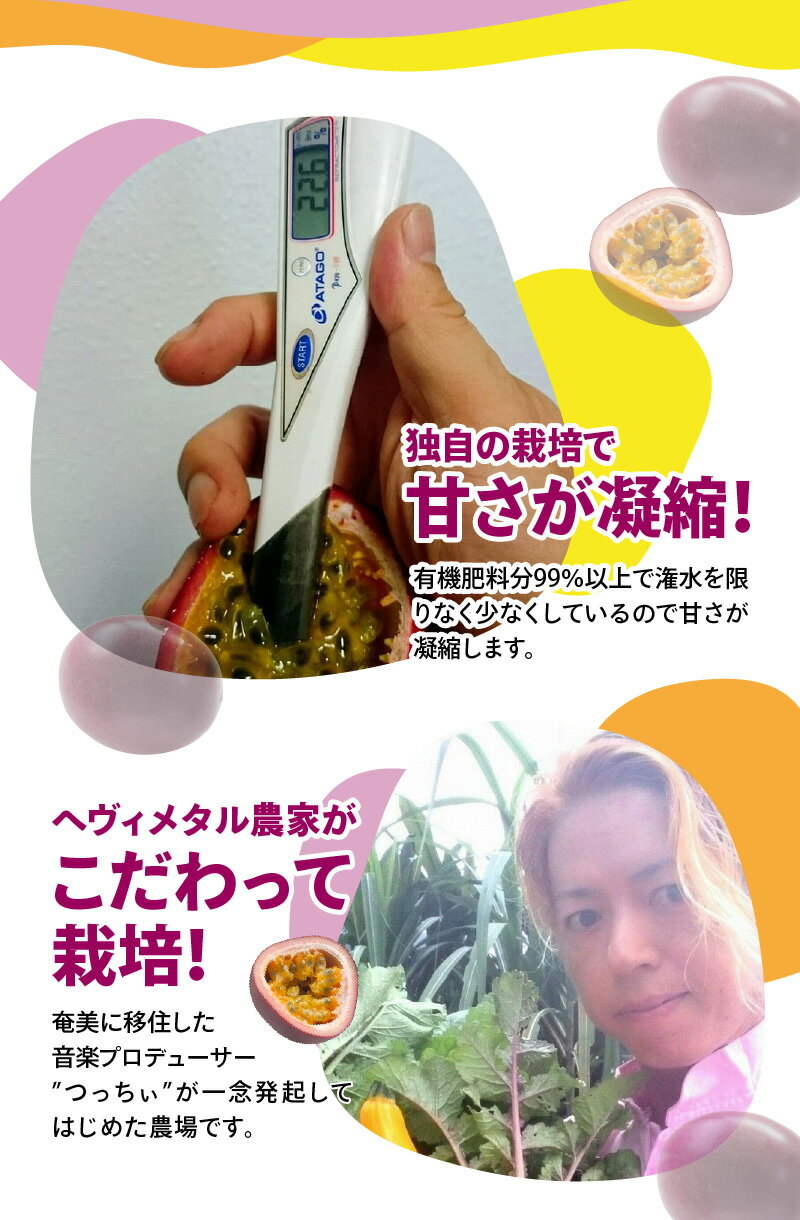 【ふるさと納税】【2026年先行予約】 高糖度 パッションフルーツ 約1kg 国産 奄美大島産 果物 フルーツ 10個前後 最高糖度20度 農家直送 ビタミン カリウム 葉酸 トロピカルフルーツ 奄実くらふとファーム ふるさと納税 奄美市 おすすめ ランキング プレゼント ギフト サムネイル3