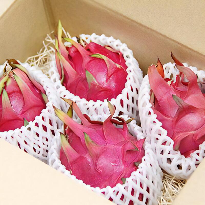 【ふるさと納税】【2026年先行予約】【期間限定】＜選べる＞ 奄美産 ドラゴンフルーツ 赤玉 2kg or 3kg 4玉 〜 12玉 フルーツ 果実 果物 南国 トロピカル 柔らかい サクサク 食感 甘い ビタミンC スムージー フラスコ 鹿児島 奄美市 おすすめ ランキング プレゼント ギフト - 画像3