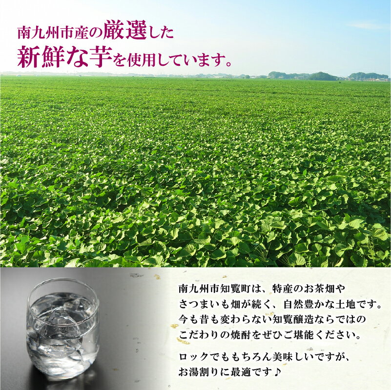 【ふるさと納税】本格芋焼酎とお茶飲み比べセット サムネイル3