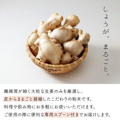 【ふるさと納税】鹿児島県産しょうが粉末(無添加)15g×10袋【1185744】 - 画像2