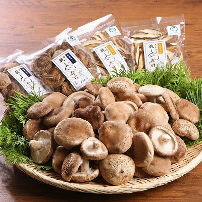 【ふるさと納税】生しいたけ1kg・乾燥しいたけ4袋【配送不可地域：離島・北海道・沖縄県・東北・関東・信越、北陸・東海・近畿・四国】【1185850】 - 画像3