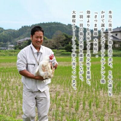 【ふるさと納税】「さつま極鶏大摩桜」鶏刺し4パックセット【配送不可地域：離島】【1185981】 - 画像2