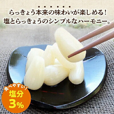 【ふるさと納税】鹿児島県産砂丘らっきょう塩漬け1.8キロ【配送不可地域：離島】【1186084】 - 画像2