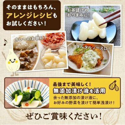 【ふるさと納税】鹿児島県産砂丘らっきょう塩漬け1.8キロ【配送不可地域：離島】【1186084】 - 画像3