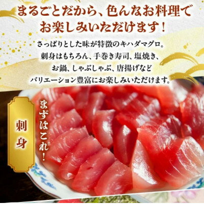 【ふるさと納税】鹿児島近海キハダマグロ1尾 008-57【配送不可地域：離島】【1710452】 - 画像3