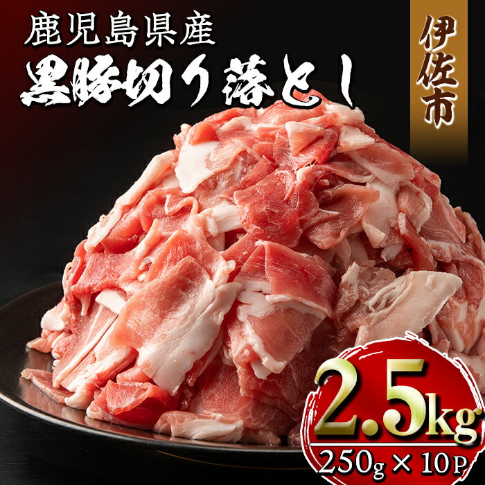 鹿児島県産黒豚切り落とし(計2.5kg・250g×10P) 精肉 小分け 切落とし 料理 パック 国産 薄切り 豚肉 九州産 冷凍 【増元精肉店】