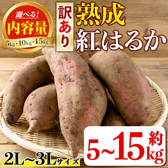 ＜内容量が選べる！＞《訳あり》熟成紅はるか(約5kg～15kg・2L〜3Lサイズ混合) 訳あり さつまいも 紅はるか 鹿児島 生芋 完熟 長期熟成 土付き べにはるか サツマイモ 焼き芋に 【いさ工房】