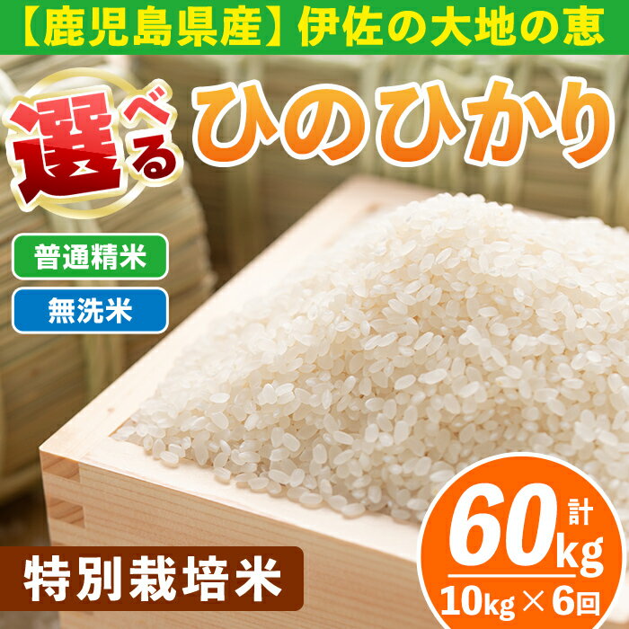 【定期便6回】 選べる精米方法！令和7年産 鹿児島県伊佐産 特別栽培ひのひかり(計60kg・10kg×6ヵ月) 国産 白米 精米 無洗米 伊佐米 お米 米 生産者 定期便 ヒノヒカリ【Farm-K】
