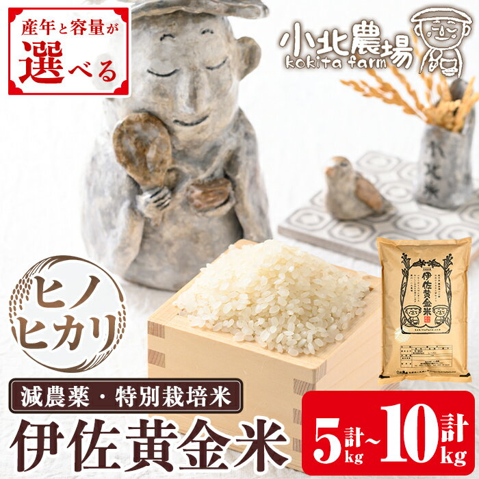 《年産と容量が選べる・数量限定》小北農場のお米 伊佐黄金米〈ヒノヒカリ〉(5kg or 10kg) 鹿児島 伊佐 お米 特別栽培米 伊佐米 白米 ヒノヒカリ ひのひかり おにぎり ごはん 【小北農場】