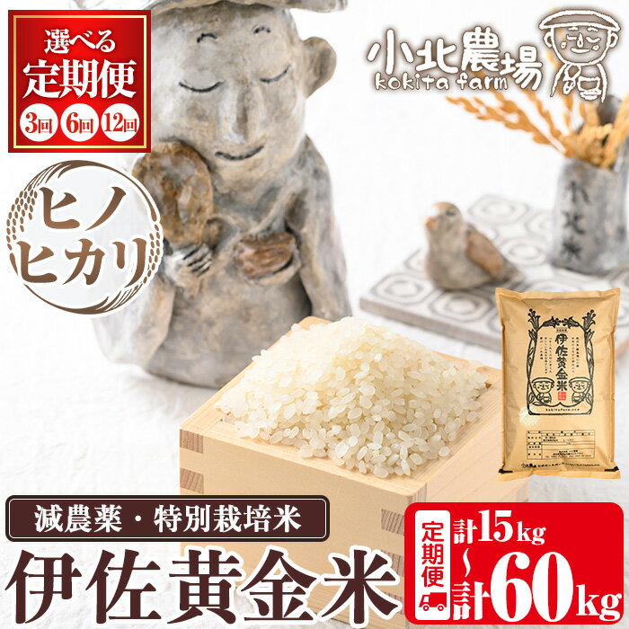 《数量限定・選べる配送回数》令和7年産 小北農場のお米 伊佐黄金米〈ヒノヒカリ〉(5kg×1袋×3回/6回/12回) 鹿児島 伊佐 お米 特別栽培米 伊佐米 白米 ヒノヒカリ ひのひかり ごはん 【小北農場】