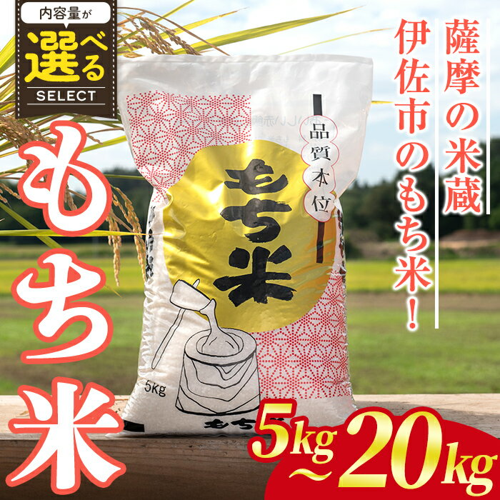 ＜内容量が選べる！＞鹿児島県産もち米(5kg or 10kg or 20kg) 国産 鹿児島県 餅米 お米 おはぎ 赤飯 おこわ 伊佐米 【赤崎農園】