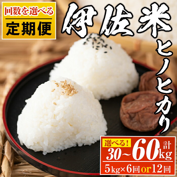 ＜回数を選べる！＞【定期便】鹿児島県産！伊佐米ヒノヒカリ(計30kg or 60kg) 薩摩 北の郷 特産品 お米 白米 精米 ひのひかり【神薗商店】