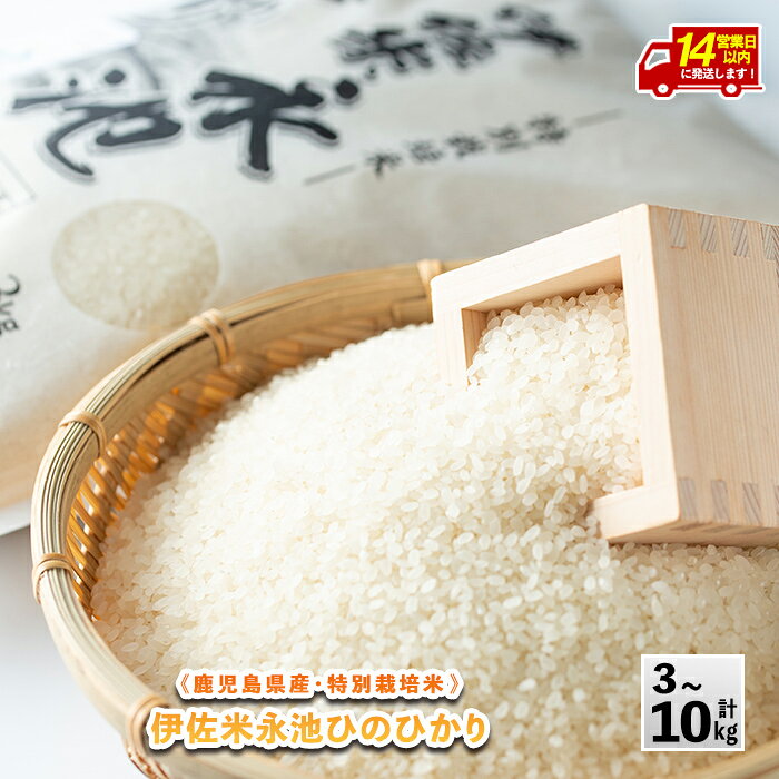 ＜14営業日以内に発送！＞《内容量が選べる・数量限定》令和7年産 特別栽培米 伊佐米永池ひのひかり(3kg/5kg/10kg) 伊佐市 永池 特産品 伊佐米 九州米サミット 食味コンテスト 最優秀賞受賞 ヒノヒカリ 【エコファーム永池】