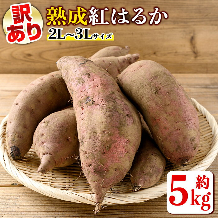 《訳あり・予約受付中！2026年1月より順次発送予定》熟成紅はるか(約5kg・2L〜3Lサイズ混合) 訳あり さつまいも 紅はるか 鹿児島 生芋 完熟 長期熟成 土付き べにはるか サツマイモ 焼き芋に 【いさ工房】