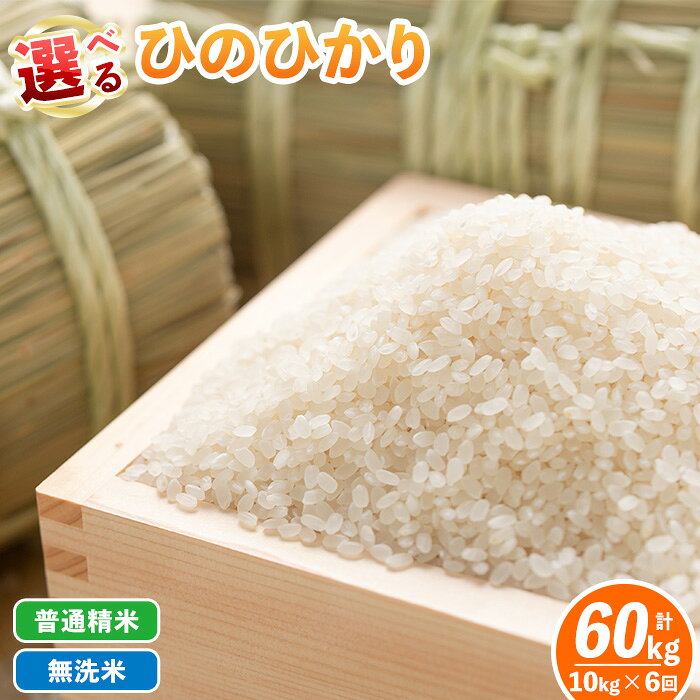 【定期便6回】 選べる精米方法！令和7年産 鹿児島県伊佐南浦産ひのひかり (合計60kg・計10kg×6ヵ月) 国産 白米 精米 無洗米 伊佐米 お米 米 生産者 定期便 ひのひかり【Farm-K】