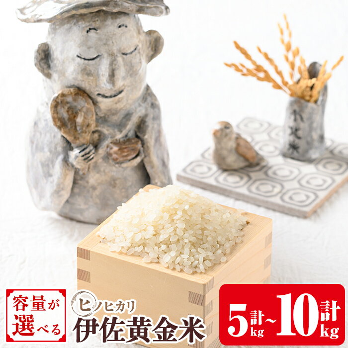 《容量が選べる・数量限定》小北農場のお米 伊佐黄金米〈ヒノヒカリ〉(5kg or 10kg) 鹿児島 伊佐 お米 特別栽培米 伊佐米 白米 ヒノヒカリ ひのひかり おにぎり ごはん 【小北農場】