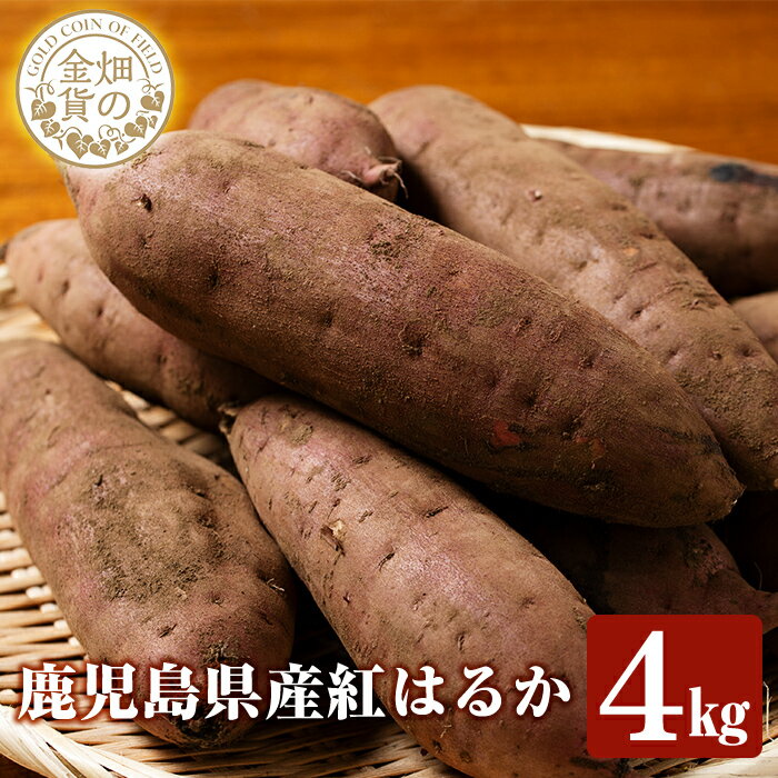 ＜先行予約受付中！2025年12月中旬以降順次発送予定＞畑の金貨・紅はるか4kg(生芋)国産 さつま芋 サツマイモ べにはるか 貯蔵 熟成 蜜芋 蜜いも さつまいも【甘いも販売所】