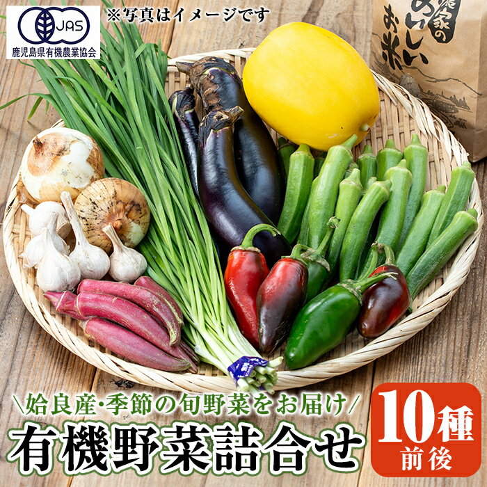 姶良産 有機野菜の詰合せセット(10種前後)国産 鹿児島県 野菜 やさい 旬 有機栽培 詰め合わせ 春 夏 秋 冬 季節【今村農園】