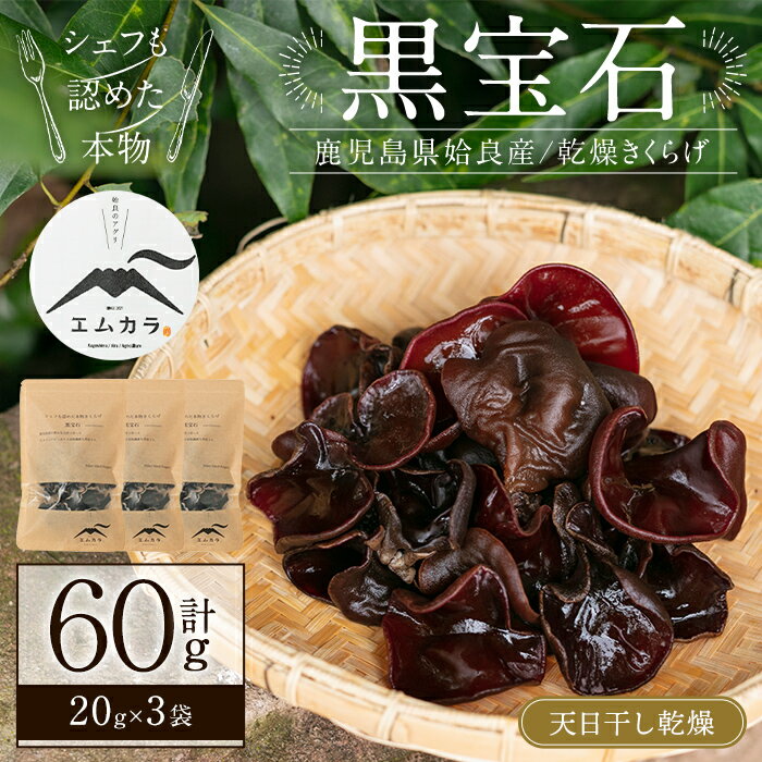 国産乾燥きくらげ計60g(20g×3袋)国産 きのこ キノコ 茸 野菜キクラゲ きくらげ 木耳 乾燥 天日干し 小分け 常温 常温保存 セット 化粧箱 ギフト箱【姶良のアグリM〜】