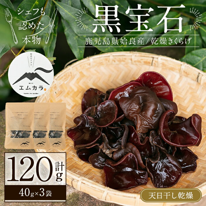国産乾燥きくらげ計120g(40g×3袋)国産 きのこ キノコ 茸 野菜キクラゲ きくらげ 木耳 乾燥 天日干し 小分け 常温 常温保存 セット 化粧箱 ギフト箱【姶良のアグリM〜】