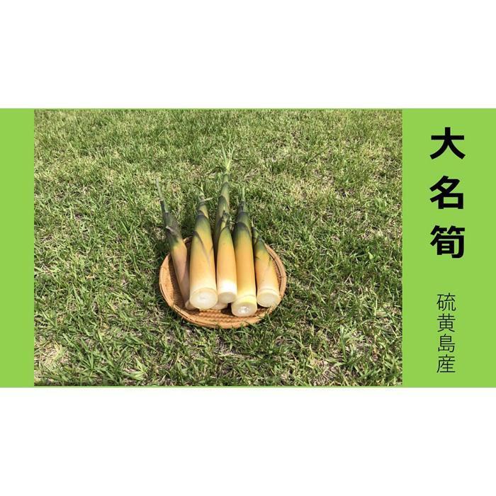 【ふるさと納税】【2026年お届け】大名筍3kg（約15本）（硫黄島産）と焼酎メンドン720mlのセット - 画像2