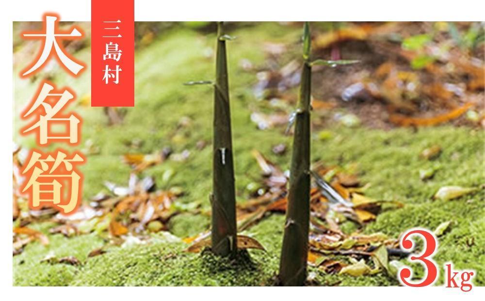 【ふるさと納税】【2026年お届け】大名筍3kg（約11本）（竹島産）と焼酎みしま村720mlのセット - 画像2