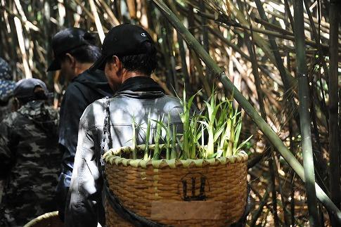 【ふるさと納税】【2026年お届け】大名筍3kg（約11本）（竹島産）と焼酎みしま村720mlのセット - 画像3