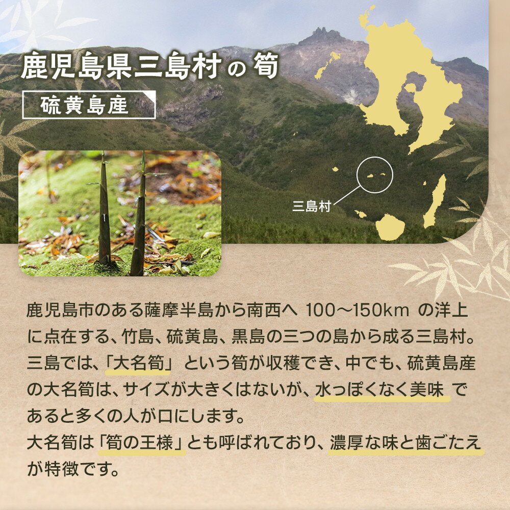 【ふるさと納税】【2026年お届け】大名筍 3kg ( 約15本 ) ( 硫黄島産 )～2026年5月初旬以降順次発送予定～ | 先行受付 アク抜き不要 筍の王様 高級食材 絶品 たけのこ タケノコ 筍 竹の子 野菜 やさい 山菜 人気 送料無料 鹿児島県 鹿児島 九州 - 画像2