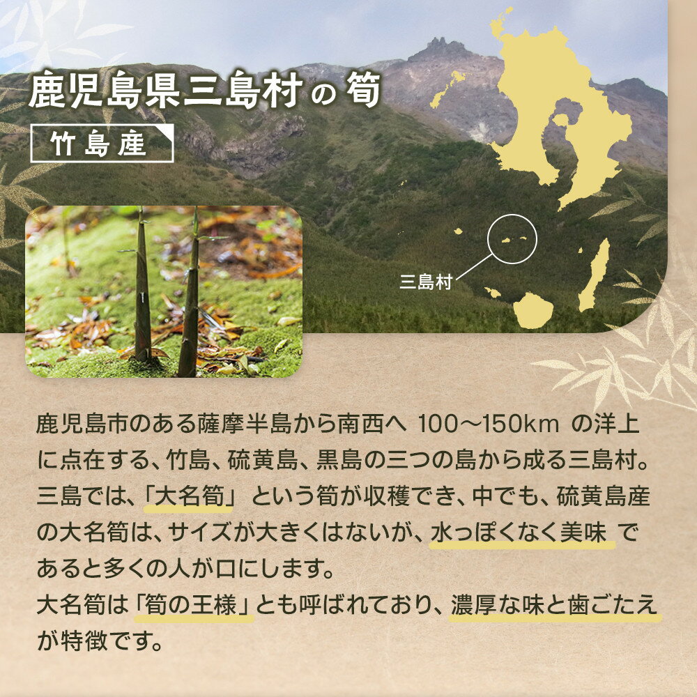 【ふるさと納税】選べる容量3種【2026年お届け】大名筍 ( 竹島産 ) 3kg 5kg 10kg | 先行受付 アク抜き不要 筍の王様 高級食材 絶品 たけのこ タケノコ 筍 竹の子 野菜 やさい 山菜 人気 送料無料 鹿児島県 鹿児島 九州 - 画像2