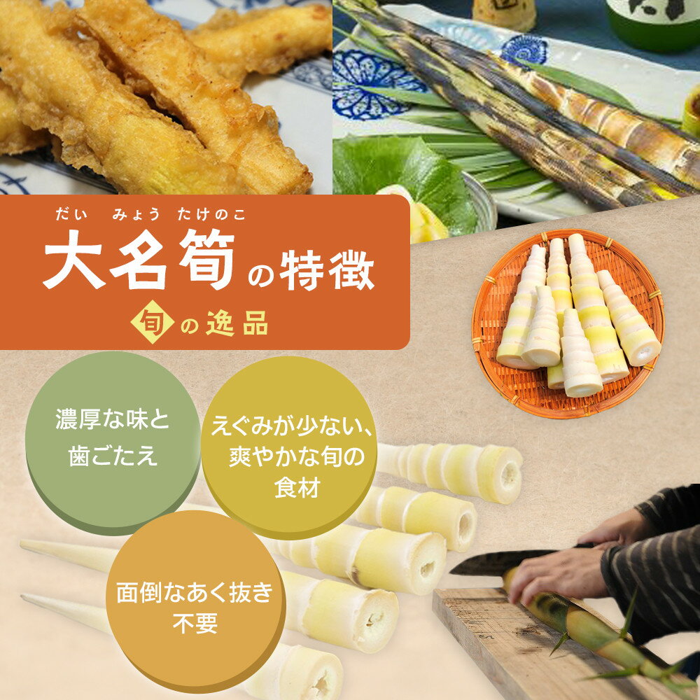 【ふるさと納税】選べる容量3種【2026年お届け】大名筍 ( 竹島産 ) 3kg 5kg 10kg | 先行受付 アク抜き不要 筍の王様 高級食材 絶品 たけのこ タケノコ 筍 竹の子 野菜 やさい 山菜 人気 送料無料 鹿児島県 鹿児島 九州 - 画像3