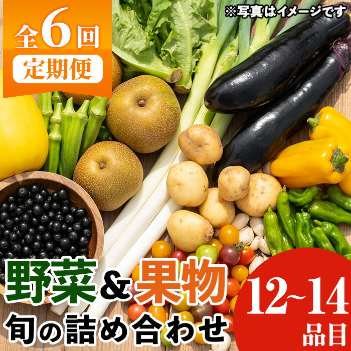 《定期便・全6回》野菜と果物旬の詰め合わせ(12〜14品目) 国産 九州産 鹿児島県産 野菜 やさい 果物 くだもの フルーツ デザート 詰め合わせ お楽しみ セット 旬 【鹿児島県経済農業協同組合連合会】