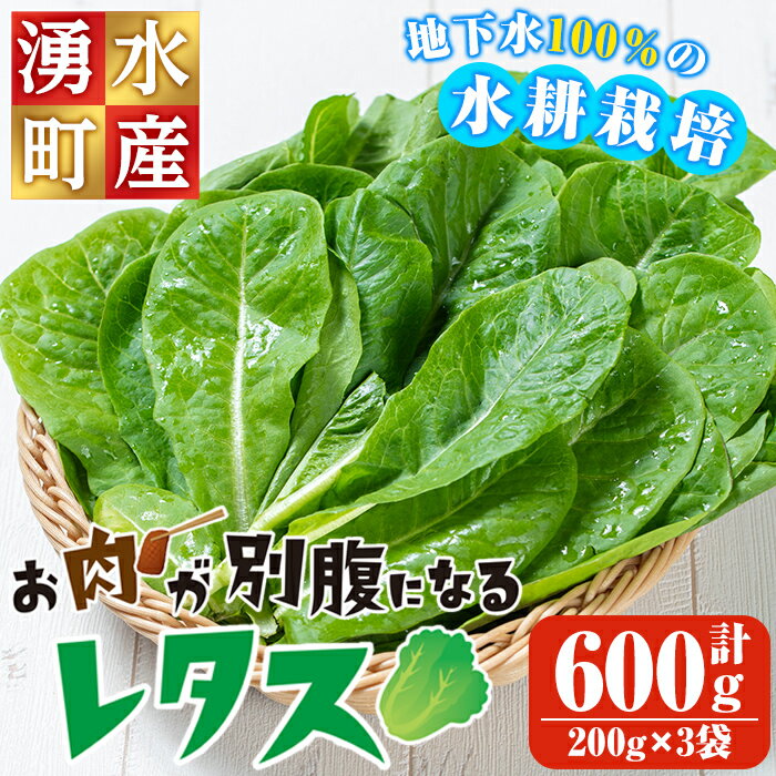 お肉が別腹になるレタス 計600g (200g×3袋) 国産 九州産 鹿児島県産 湧水町産 野菜 やさい レタス ロメインレタス 焼肉 焼き肉 バーベキュー BBQ 冷しゃぶ サラダ 水耕栽培【霧島製萌】
