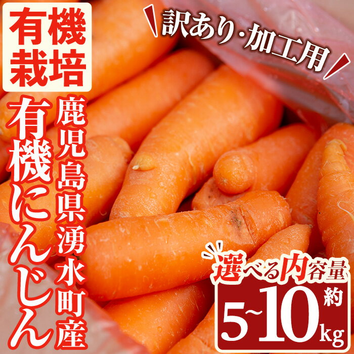 ≪内容量選べる・訳あり≫湧水町産有機にんじん(約5~10kg) 国産 九州産 鹿児島産 有機野菜 有機栽培 にんじん 人参 ニンジン キャロットジュース 野菜 やさい おかず 旬 わけあり 訳アリ 不揃い 規格外 期間限定 数量限定 オーガニック 健康【そのやま農園】